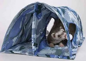 Marshall Double Fun Ferret Tunnel