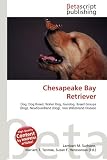 Chesapeake Bay Retriever
