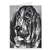 Head of a Dog Running, 1880 by Henri de.. - Greeting Card (Pack of 2) - 7x5 inch - Art247 - Standard Size - Pack Of 2