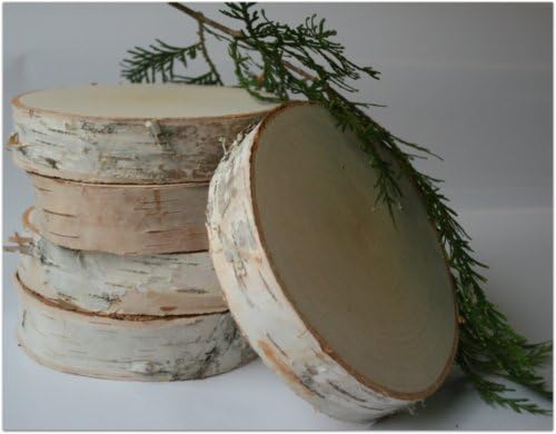 Birch Slices/Disks 4''- 5'' Dia. 2'' Thick (Pack of 10)