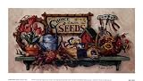 Choice Flower Seeds Art Poster PRINT Barbara Mock 9x5