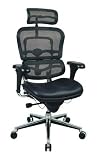EuroTech Ergo High Back Ergonomic Leather Seat With Mesh Back - LEM4ERG