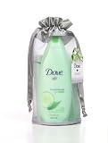Dove Small Gift Bag, Cool Moisture (Pack of 2)