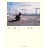 碧い眼をした黒猫チロ (Ｓａｎｃｔｕａｒｙ　ｂｏｏｋｓ)