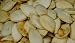 Whole Pumpkin Seed Sea Salt Flavor- 6 PACK (3.5 oz Bags)