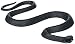 Black Snake | Halloween Trick or Treat