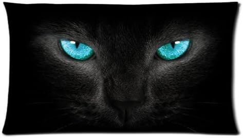 LucyCrossmanHouse Decor Cotton Square Pillow Case You Perfect Decision You Love The Softball Most 18*18 inches