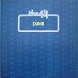 411 - Dumb - [12"]