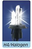 Produkt-Bild: Xenon Brenner H4(Low-hid,high- Halogen) 4300/6000/8000/10000/12000K , Kelvin:6000