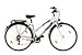28" TEXO Damen Trekking Fahrrad mit 21-Gang Shimano Kettenschaltung (140)