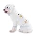 CRAZY PEOPLE DO CRAZY THINGS BUT Psychics ARE PERFECTLY SANE! Hooded T-Shirt for Dog or Cat X-Small (XS) White