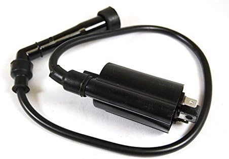 Isell Electronic Ignition Coil Fit For Suzuki VZ800 Marauder 1998 1999 2000 2001 2002 2003 2004