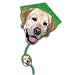 labrador30  - Brainstorm Pets AKC Deluxe Diamond Kite Labrador