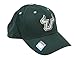 Captivating Headgear Men's Champ Fashion Embroidered Cap