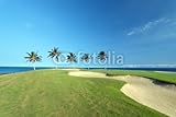 IMAGE OF Wallmonkeys Peel and Stick Wall Decals - Golf Course on Ocean Shore of Kona Island, Hi - 18