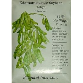 Edamame Green Soybean Seeds 50 Seeds