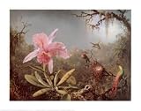 Cattleya Orchid and Three Brazilian Hummingbirds Martin Johnson Heade 28x22