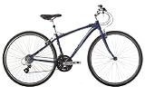 2010 Raleigh Pioneer Urban 2 - 21 Gents Hybrid Bike