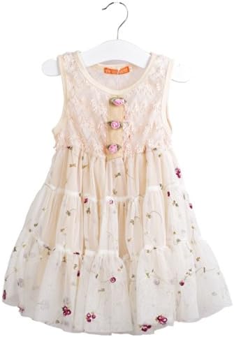 Girls New Fashion Children Lace Princess dress Baby girls Flower Summer dress (2(2t))