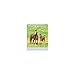 Creative Converting Wild Horses 8 Count Party Invitations