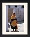 Framed Prints of Nubian women wear bright dresses and headscarves even though they are Muslims from AWL Discover Images