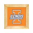 University of Illinois Trivet - Wall Hanging