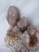 Rare Amethyst and Citrine Cactus Spirit Quartz Crystal Cluster, 8.29.7
