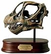 Camarasaurus Skull Model
