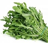 ロケットサラダ 300粒