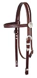 Circle Y Fan and Silver Headstall