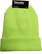 Thinsulate Knit Cap