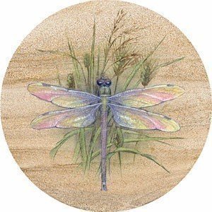 Dragonfly Sandstone Thirstystone Coasters by