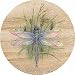 Search : Dragonfly Sandstone Thirstystone Coasters