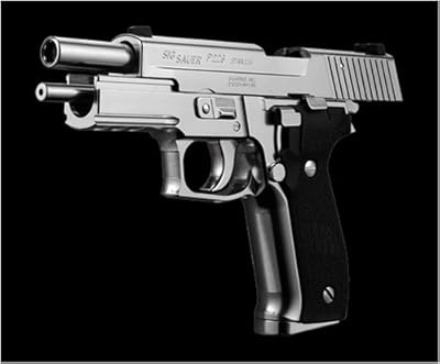 No22 シグ・ザウエル P226 レイル クロームステンレス (18歳以上ガスブローバックガン)