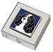 Tricolor Cavalier King Charles Spaniel Small Vitamin Case - Polished w/Mirror Image