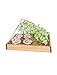 Gardener's Supply Company Cucumber Trellis | Garden Bed Support for Cucumbers & Climbing Plants | Outdoor Plant Support w/ 4