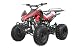 125cc Sports ATV 8″ Tires with Reverse, Red