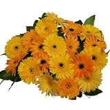 Yellow Gerbera Daisy Fresh Flower Bouquet
