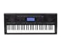 Casio CTK-5000 61 Key Digital Keyboard