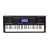 Casio CTK-5000 61 Key Personal Keyboard with MP3 Connection, SD Card Slot, and a 5 Song/6-Track Recorder