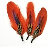 Touch of Nature 3-Piece Natural Feather Pick with Nylon Loop for Arts and Crafts, 3.5-Inch, Cinnamon/Blue/Olive