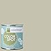 Inspired Eggshell Interior Colorspot Paint Sample, Nourish .02,  8-oz