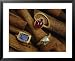 Cinnamon Bark Shows off Rings of Ruby, Diamond and Sapphire Found in the Wreckage Costume & Fashion Framed Art Poster Print by Sisse Brimberg, 31x25
