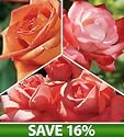 Best Cutting Rose Collection, Set of 3