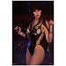 Elvira - Mistress of the Dark - Yours Cruelly 11x17 Poster