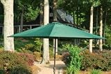 10' Forest Green Solar Umbrella with Aluminum Pole