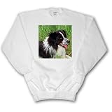Dogs Border Collie - Border Collie - Sweatshirts