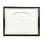 Nu-Dell Framed Achievement/Appreciation Awards, Two Designs, 8.5 in x 11 in, Sold as 1 Unit (19210)