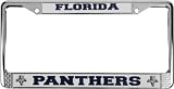 Florida Panthers Chrome License Plate Frame