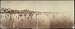 Atlantic City; panorama of beach and boardwalk from pier (Historic Panoramic Photograph: 36 x 14)